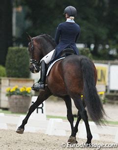 sigrid bergåkra flashback|Primavera, the Bergåkras Family Dressage Horse, Passed Away